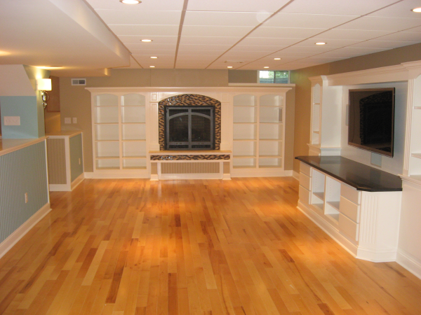 Formal finished basement with media viewing area and a gas fireplace on a raised hearth surrounded by built in bookcases